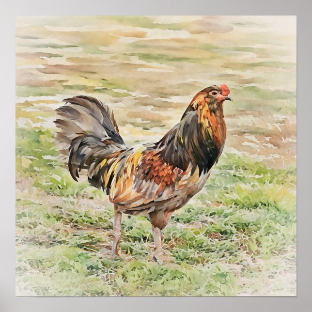 Rustic Rooster Watercolor Art Squared Poster (Front)