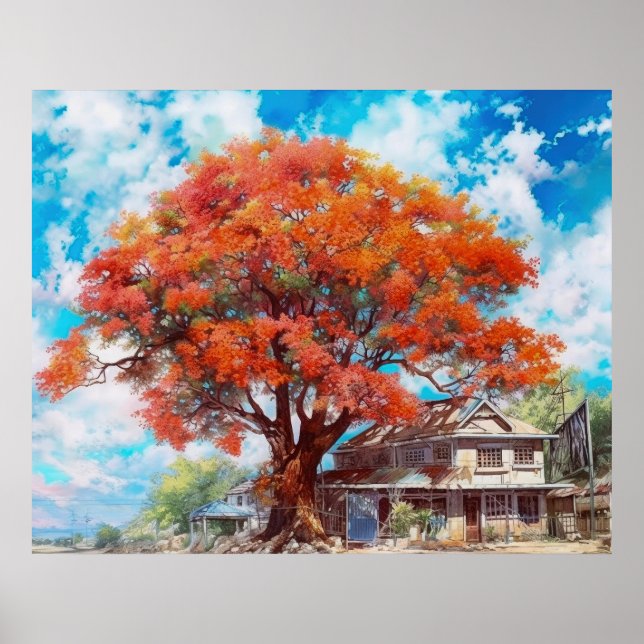 Rustic Royal Poinciana Tree in Bloom Watercolor Poster (Front)