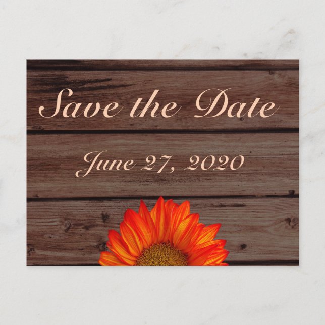 Rustic Save The Dates Orange Sunflower Announcement Postcard (Front)