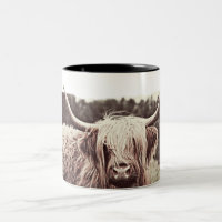 Rustic Scottish Highland Longhorn Cow Coffee