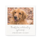 Rustic Script Dog Photo Modern Wedding