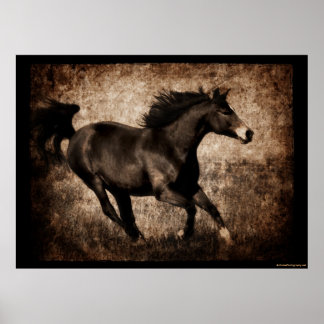 Rustic Sepia Galloping Horse Poster