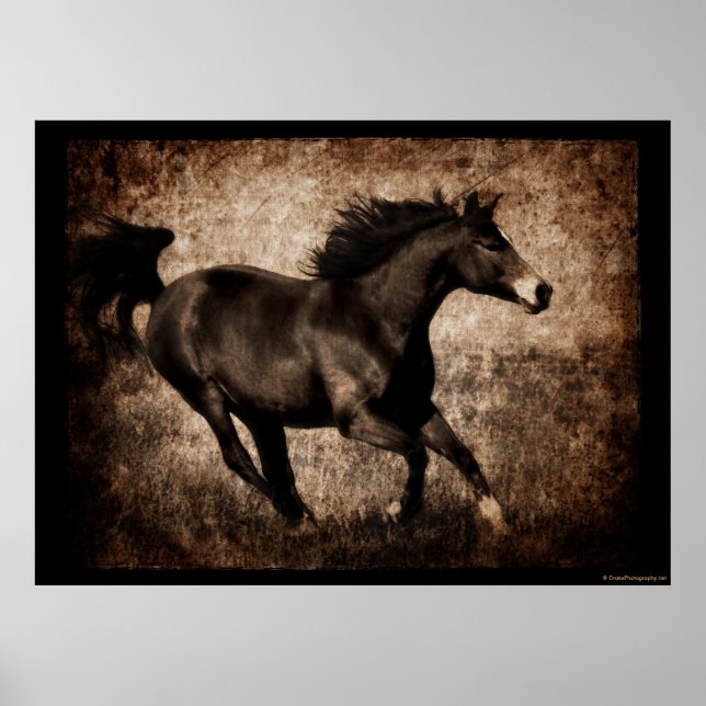 Rustic Sepia Galloping Horse Poster (Front)