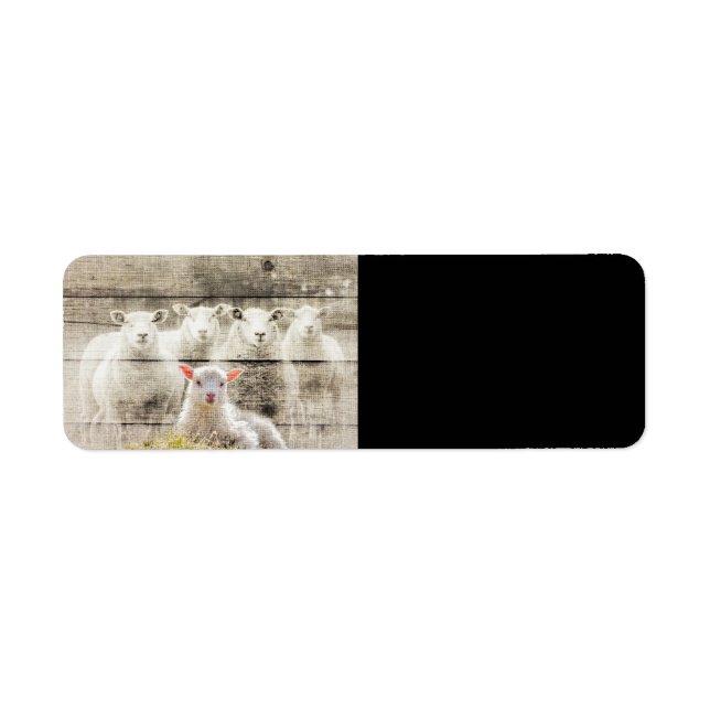 Rustic Sheep Baby Lamb Burlap (Front)