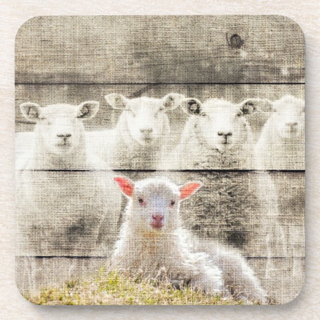 Rustic Sheep Baby Lamb Burlap Coaster (Front)