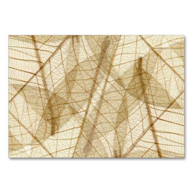 Rustic Sheer Cream Lace Leaves Table Number (Front)