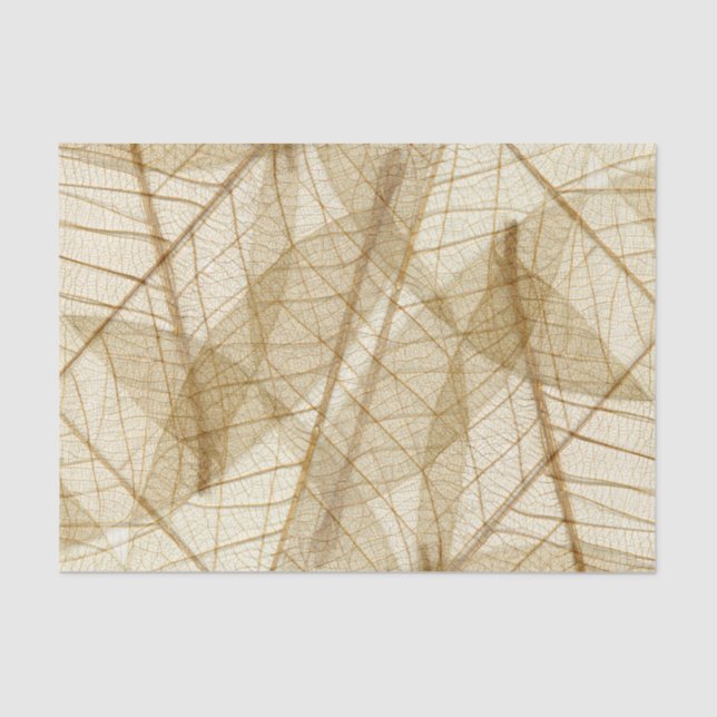 Rustic Sheer Cream Lace Leaves Tissue Paper (Front)