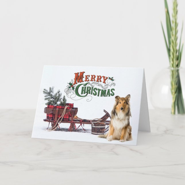 Rustic Sheltie Christmas Card (Front)