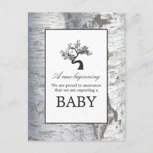 Rustic Silver Birch Tree Baby Announcement Postcard