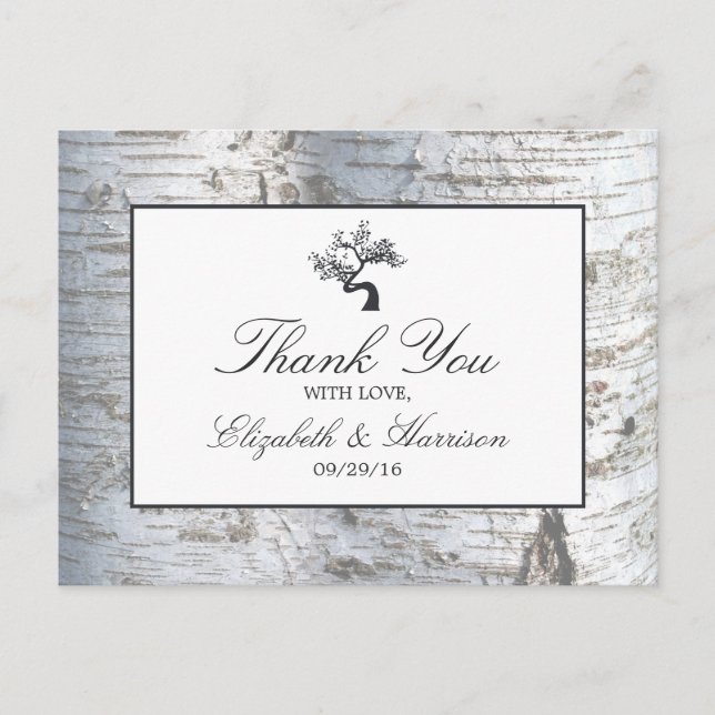 Rustic Silver Birch Tree Wedding Thank You Postcard (Front)