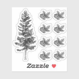 Rustic Sketch Pine Tree & Cones Forest Woodland