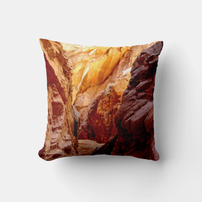 Rustic Southwest Slot Canyon Nevada Square Pillow (Front)