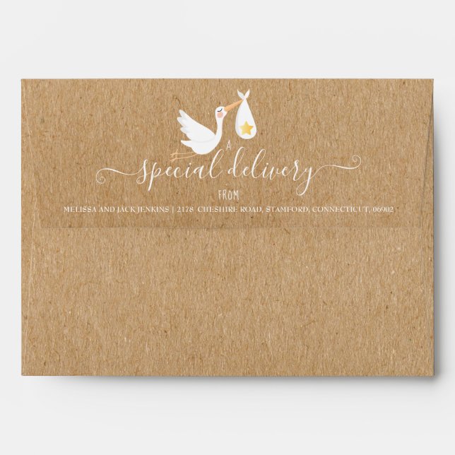 Rustic Special Delivery Stork Baby Shower Sprinkle Envelope (Back (Top Flap))