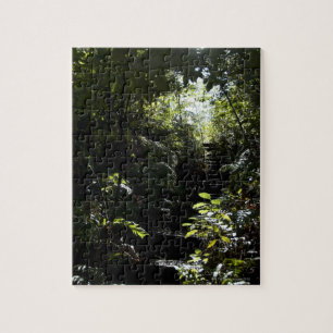 Rustic staircase/footpath in forest, sunlight jigsaw puzzle