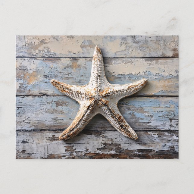 Rustic Starfish on Weathered Wood Postcard (Front)
