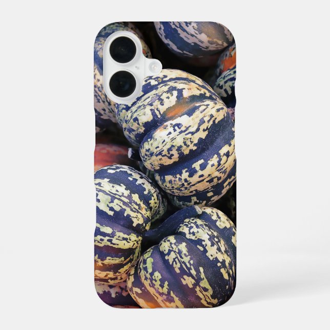 Rustic Striped Pumpkins  iPhone 16 Case (Back)