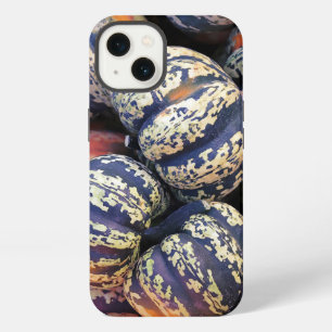 Rustic Striped Pumpkins iPhone 13 Case