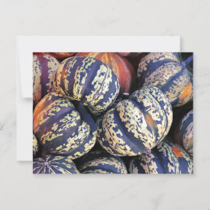 Rustic Striped Pumpkins  Postcard