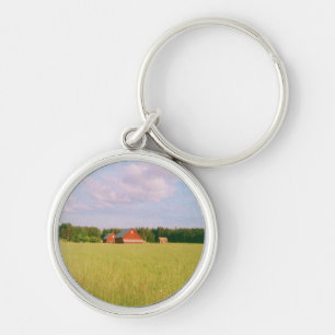 Rustic summer field, Helsingia, Sweden Key Ring