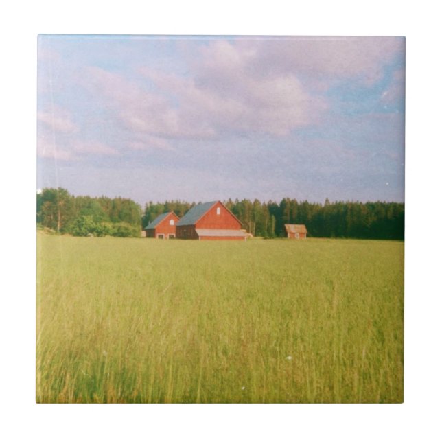 Rustic summer field, Helsingia, Sweden Tile (Front)