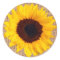 Rustic Sunflower Burlap Sticker Envelope Seal