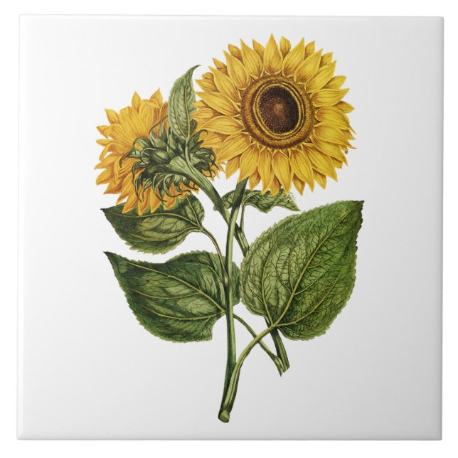 Rustic Sunflower Decorative Tile (Front)