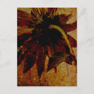 Rustic Sunflower Postcard