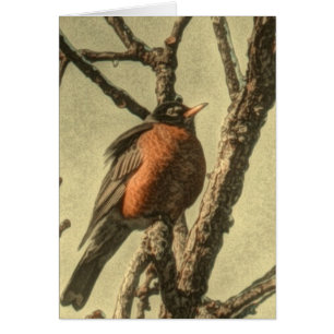 Rustic Tree branches  Michigan State Bird Robin