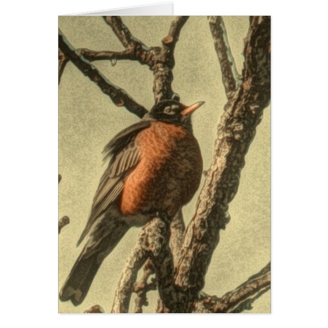 Rustic Tree branches  Michigan State Bird Robin (Front)