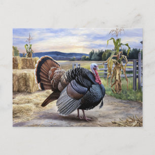 Rustic Turkey Farm Painting Thanksgiving Art Postcard