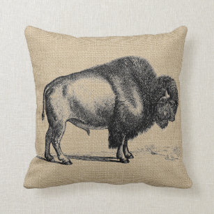 Rustic Vintage Line Art Buffalo Cushion