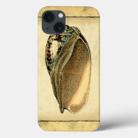 Rustic Vintage Seashell