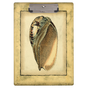 Rustic Vintage Seashell Clipboard
