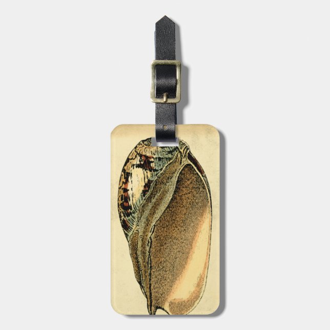 Rustic Vintage Seashell Luggage Tag (Front Vertical)