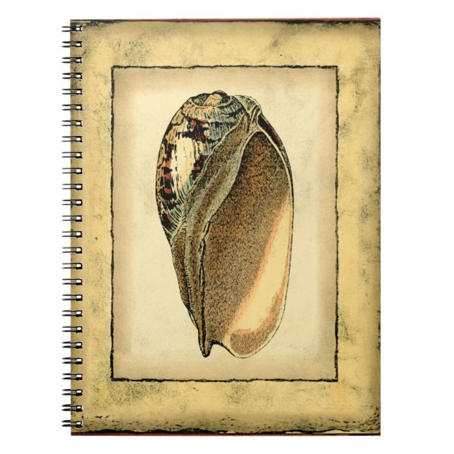 Rustic Vintage Seashell Notebook (Front)