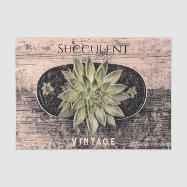 Rustic Vintage Succulent Green Botanical Ephemera Tissue Paper (Front)