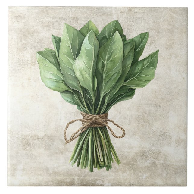 Rustic Watercolor Herbs Sage with Twine Design Tile (Front)