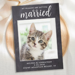 Rustic Wedding Simple Custom Pet Photo Cat Dog  Save The Date
