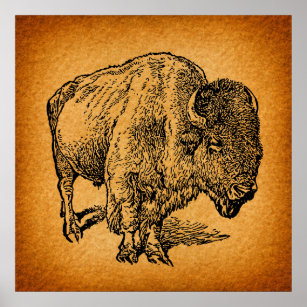 Rustic Western Wild Buffalo Bison Antique Art Poster
