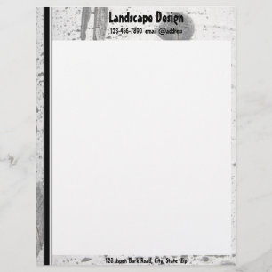 Rustic White Aspen Tree Bark Texture Photograph Letterhead Design