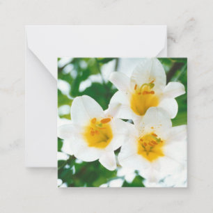 Rustic White lilies - Lilium candidum Card