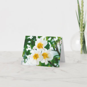 Rustic White lilies - Lilium candidum Card