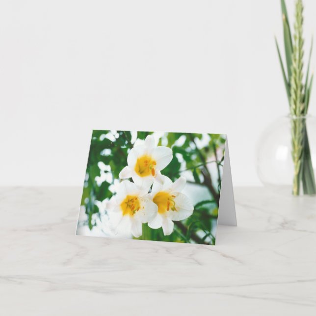 Rustic White lilies - Lilium candidum Card (Front)