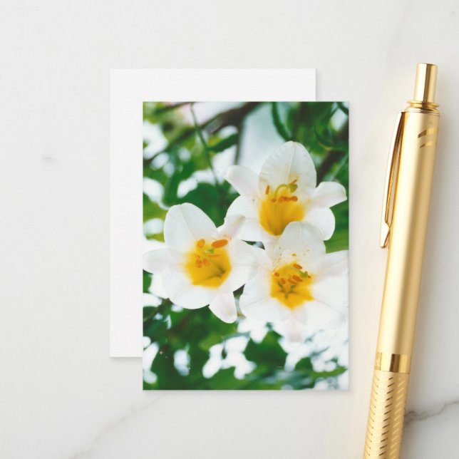 Rustic White lilies - Lilium candidum Enclosure Card (Front/Back In Situ)