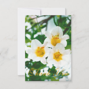 Rustic White lilies - Lilium candidum  Thank You Card