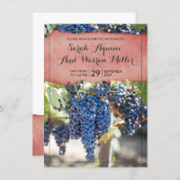 Rustic Winery Grape Vines Wedding