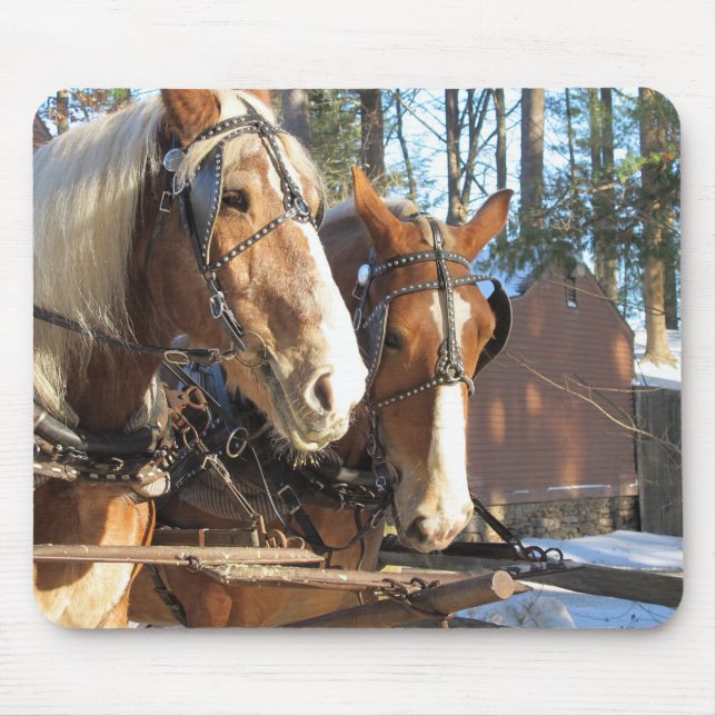 Rustic Winter Horse Mouse Pad (Front)