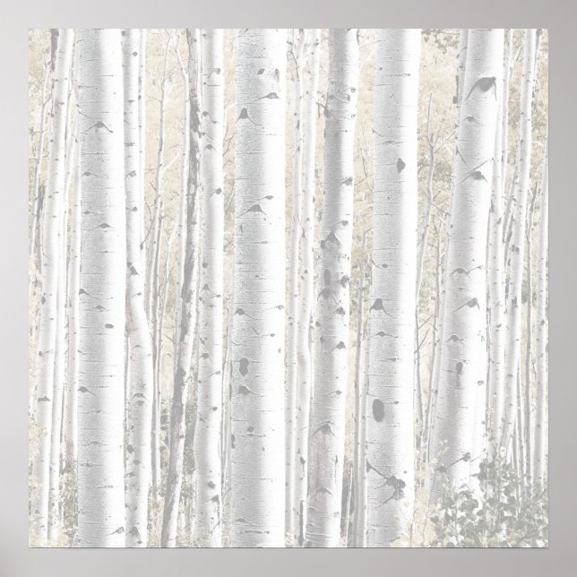 Rustic Winter White Birch Tree Forest Poster (Front)