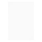 Rustic Wood Barrel Lights Champagne Bridal Shower