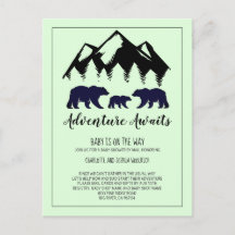 Rustic Woodland Bear Baby Shower By Mail